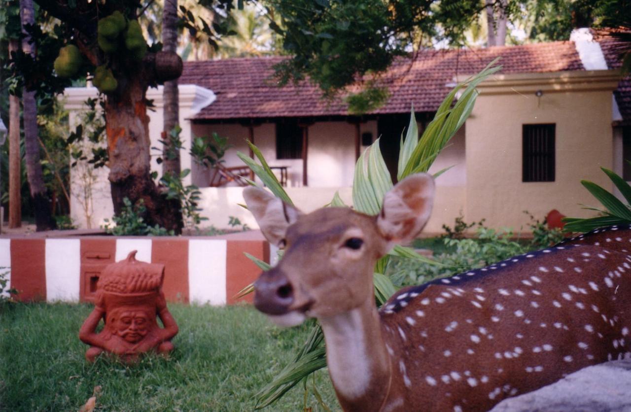 Indeco Hotels Swamimalai Kumbakonam Extérieur photo